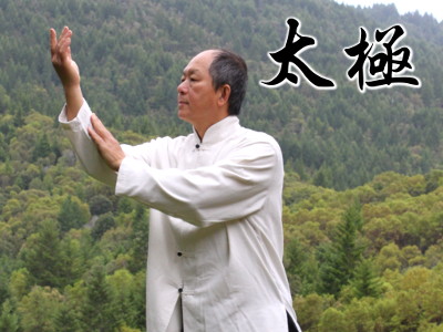 208. Dr. Yang Jwing Ming on tai chi chuan ⋆ Sifu Mimi Chan